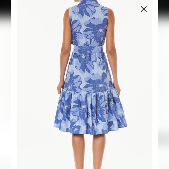 Carolina Herrera Blue Floral Midi Dress - Picture 7 of 10